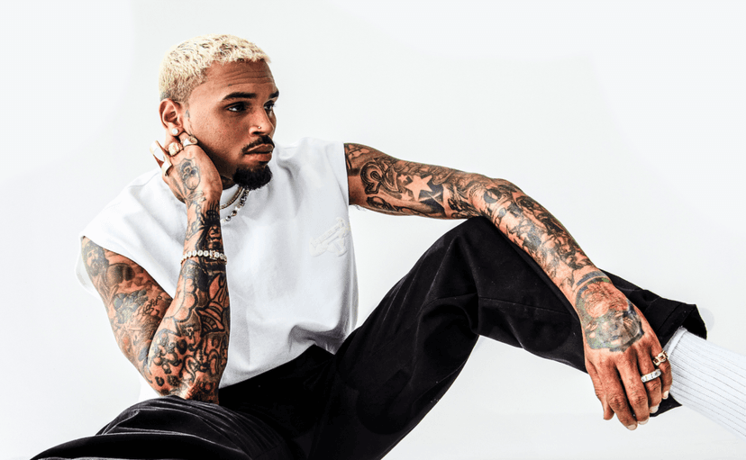 Chris Brown ordered to pay $12.9 million after housekeeper mauled by dog