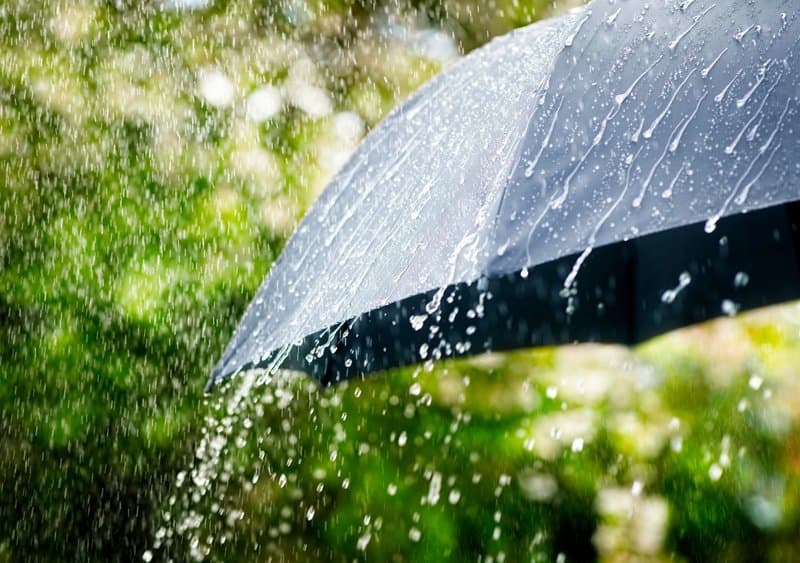 Ghana Weather Today: GMet forecasts rain, mist and thunderstorms – See affected areas